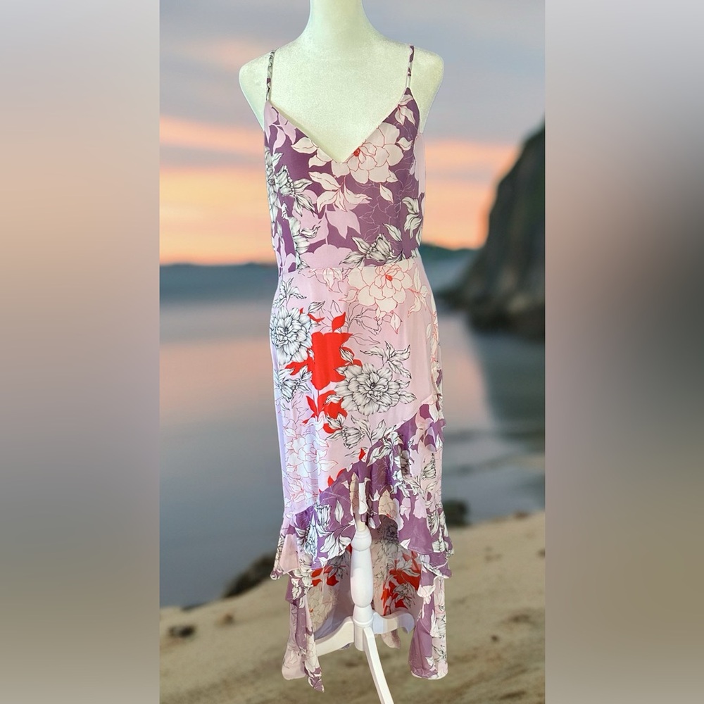Net Badgley Miscka dress sz.  10